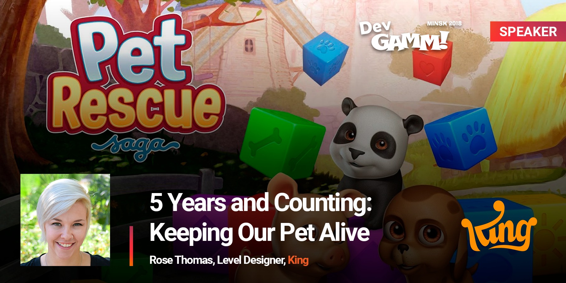 Секреты успеха игры Pet Rescue Saga - DevGAMM Developer Week